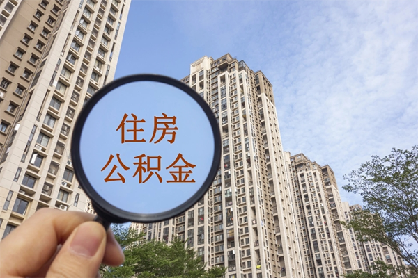 尉氏个人公积金去哪儿取（住房公积金个人到哪里提取）